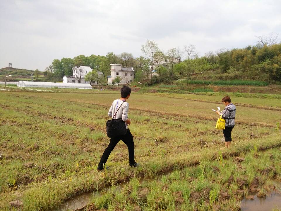 安徽省区域第二次全国地名普查技术服务项目