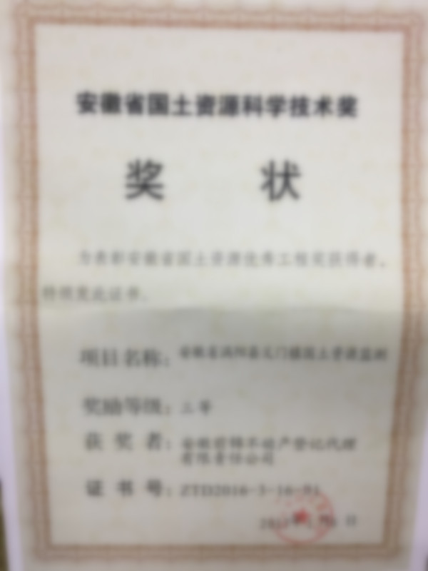 项目获奖证书