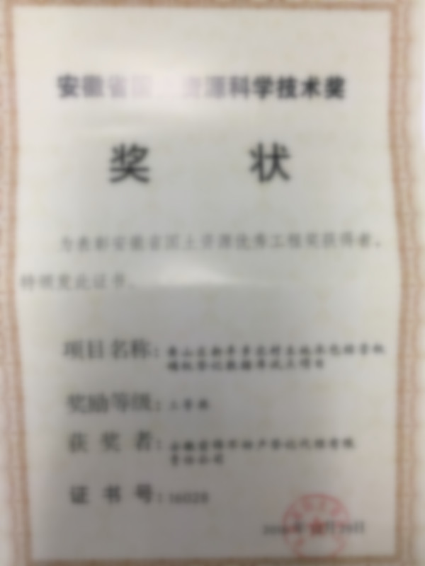 项目获奖证书